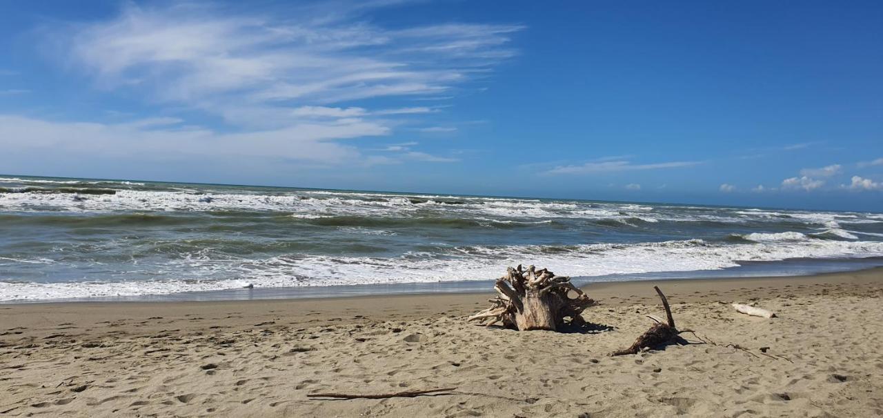 Domusauroom, Relax Nel Cuore Della Versilia - Pet Friendly 维亚雷焦 外观 照片