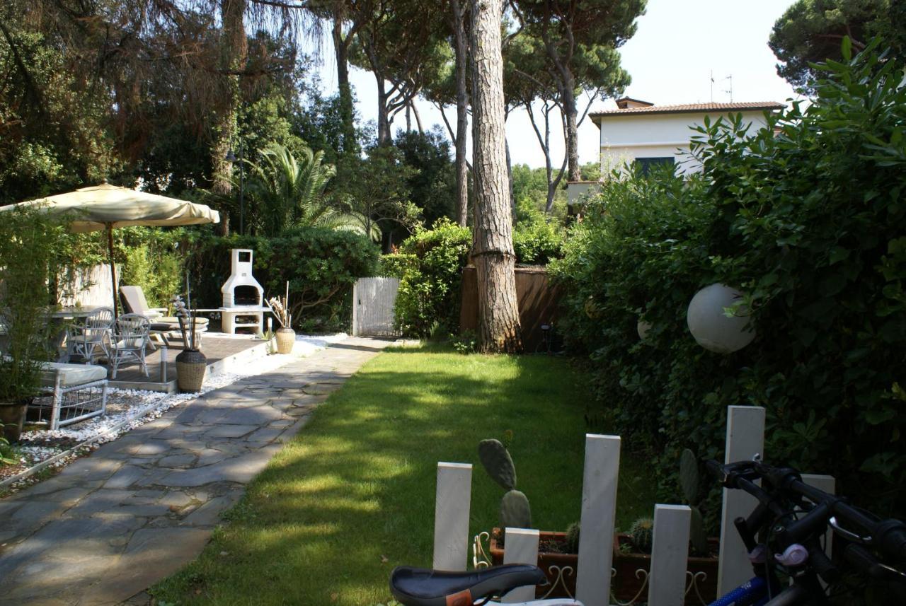 Domusauroom, Relax Nel Cuore Della Versilia - Pet Friendly 维亚雷焦 外观 照片